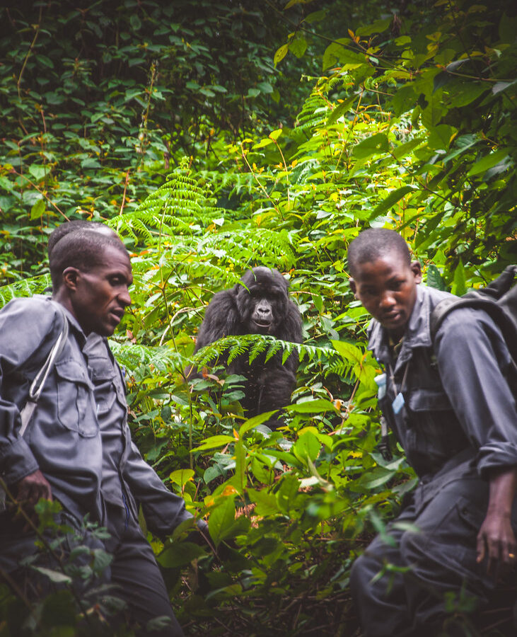 20 Days Rwanda, Burundi, and Uganda Safari