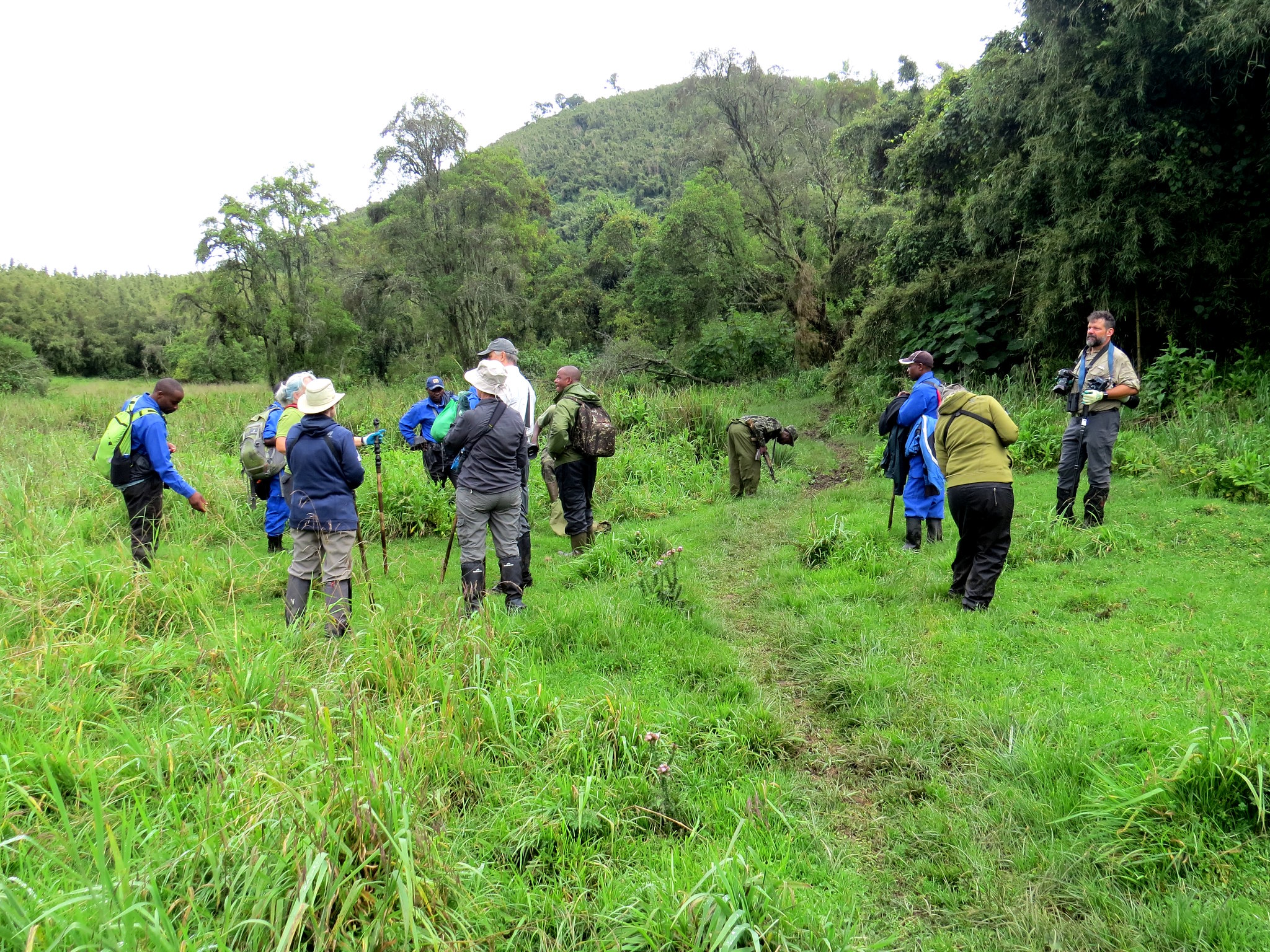 Can you wear black gorilla trekking?