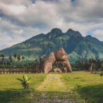 Planning a gorilla trekking safari? Compare Rwanda, Uganda, and Congo on permit cost, safety, terrain, and travel experience in this detailed guide.
