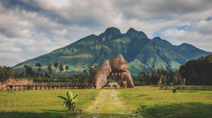 Planning a gorilla trekking safari? Compare Rwanda, Uganda, and Congo on permit cost, safety, terrain, and travel experience in this detailed guide.