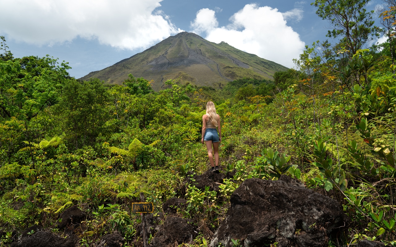 Hiking Trails and Scenic Spots in the Park