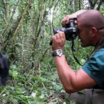 Discover expert photography tips for capturing mountain gorillas in the wild during your Rwanda or Uganda trekking adventure. Learn the best gear, techniques, and ethical practices to take stunning photos without disturbing these incredible creatures.