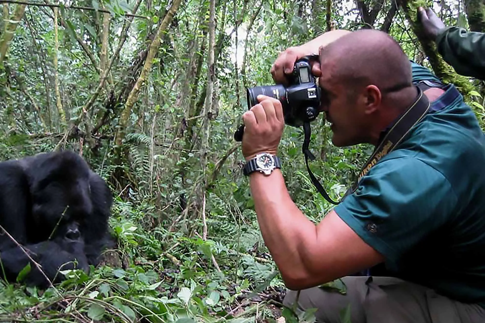 Discover expert photography tips for capturing mountain gorillas in the wild during your Rwanda or Uganda trekking adventure. Learn the best gear, techniques, and ethical practices to take stunning photos without disturbing these incredible creatures.