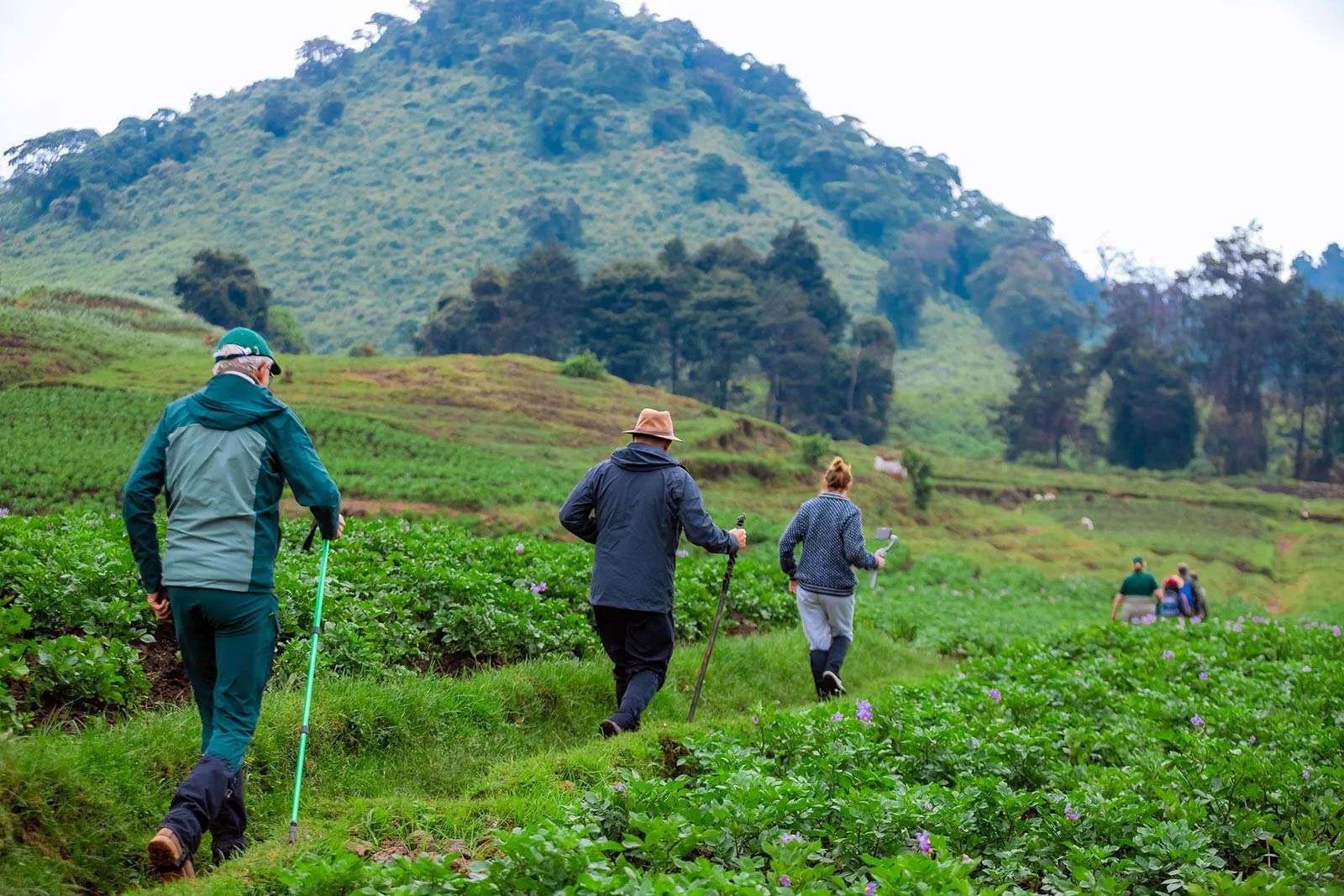 Discover the physical fitness needed for gorilla trekking in Rwanda. Get expert tips, training advice, and preparation insights for your adventure